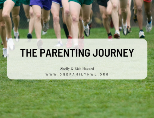 The Parenting Journey